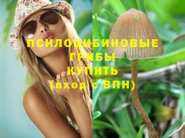крисы Зерноград