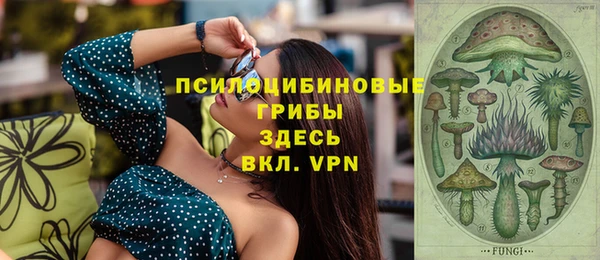 крисы Зерноград