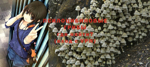 MDMA Premium VHQ Зеленодольск