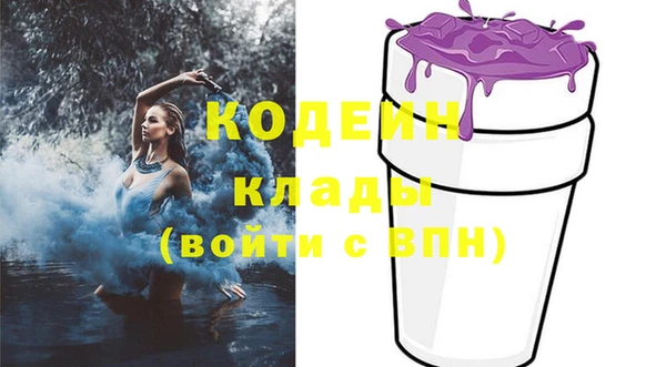 крисы Зерноград
