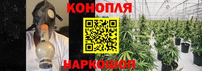 PSILOCYBIN Донской